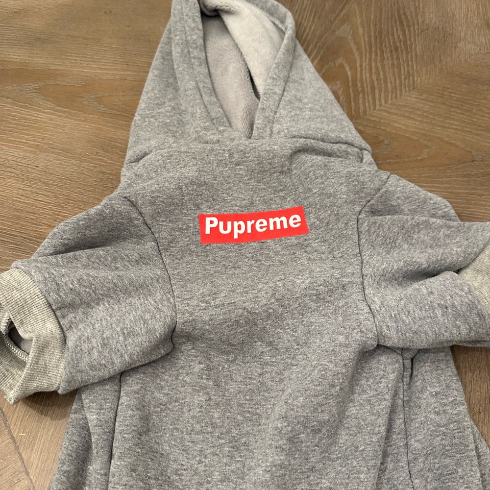 Dog hoodie
